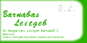 barnabas leitgeb business card